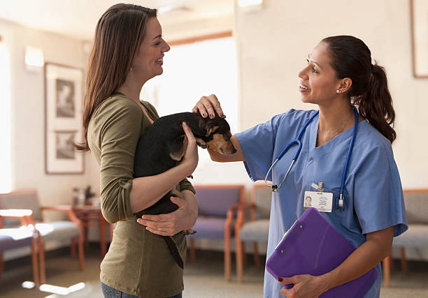 Imagem ilustrativa de Consulta veterinária em Indaiatuba