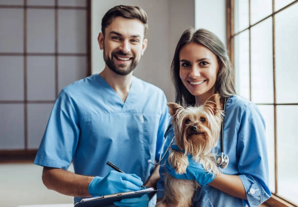 Endoscopia veterinária em Indaiatuba