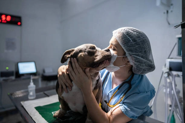 Pneumologista veterinário