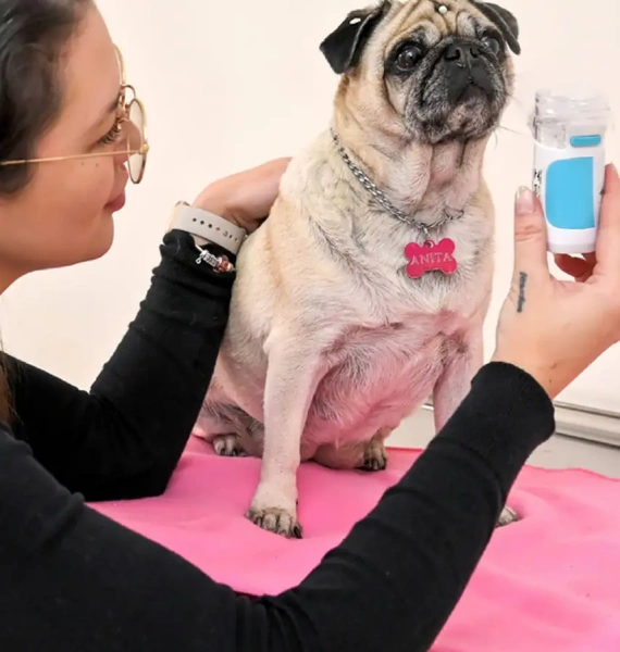Health Center Vet