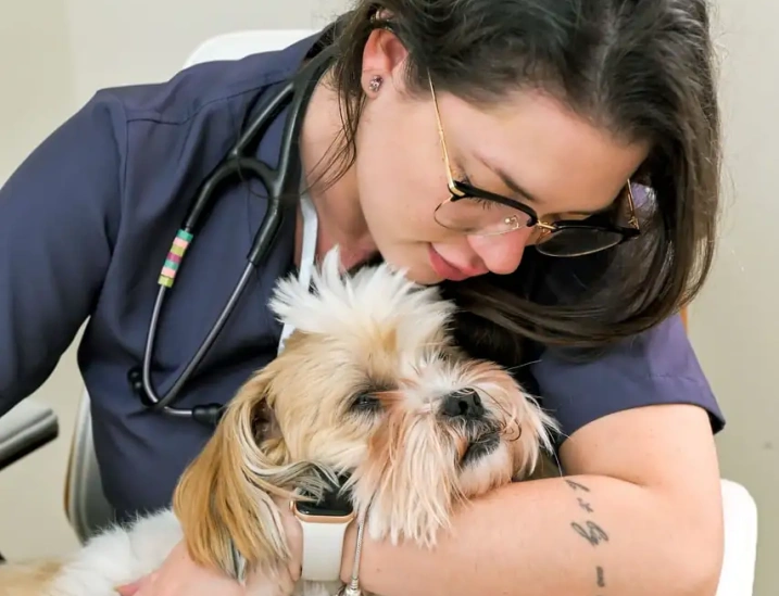 Health Center Vet Health Center Vet
